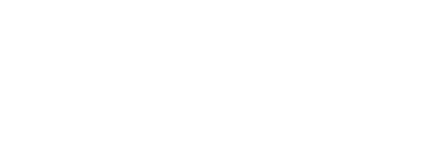 Poliune Solid Works
